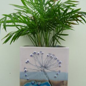 Planters for Indoors