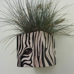 Zebra Wall Box